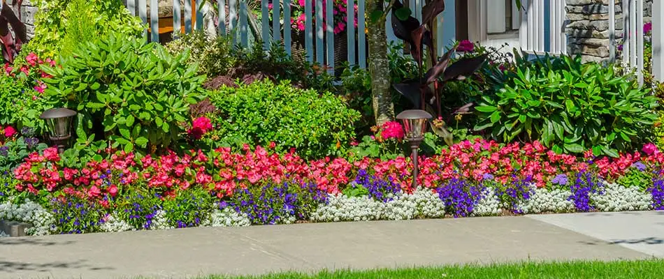 Popular Annual Flowers for Homes in Palm Beach, FL
