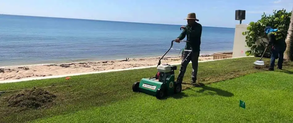 Verticutting a lawn for a beachfront property in Palm Beach, FL.