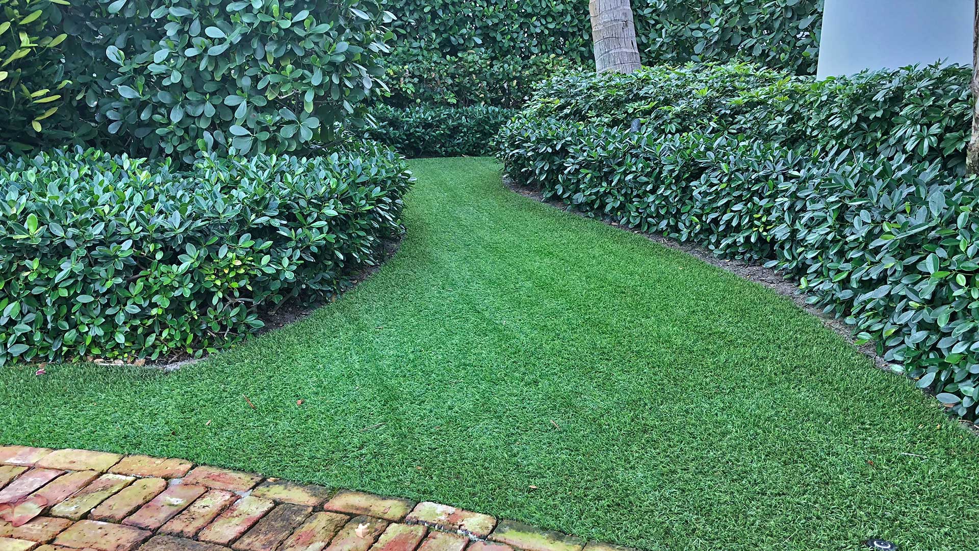 Artificial turf and landscape trimming at a home in Palm Beach, FL.