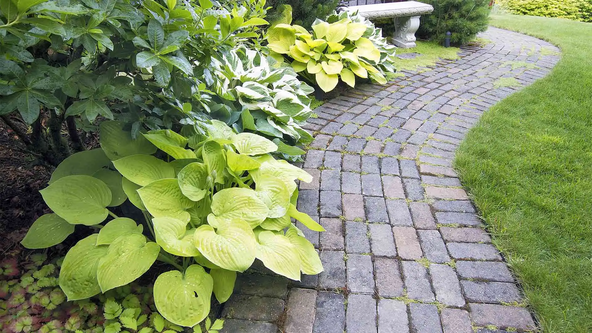 A custom brick walkway designed and installed by our hardscape contractors in Jupiter, FL.