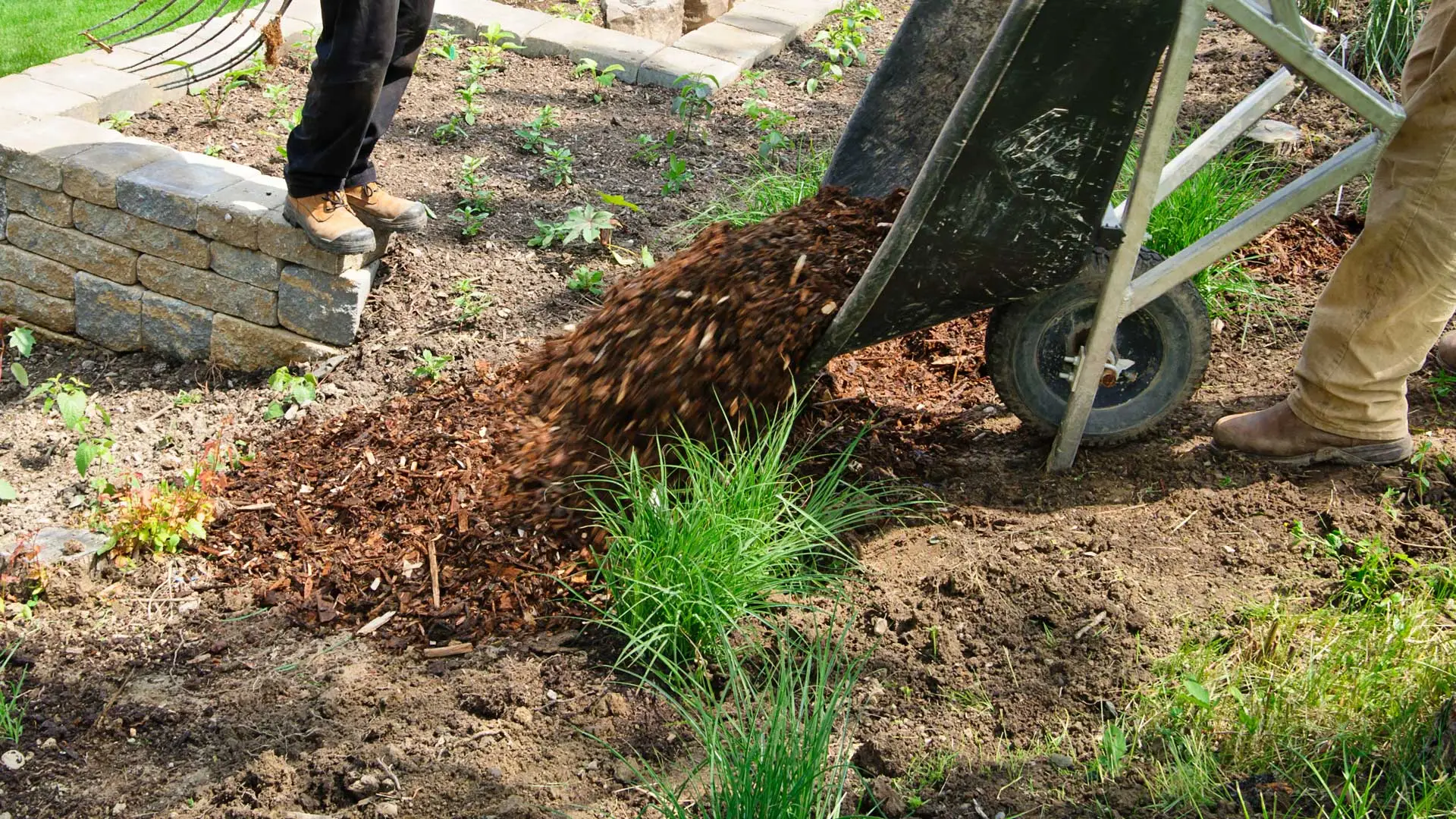 Employees working on landscaping job.