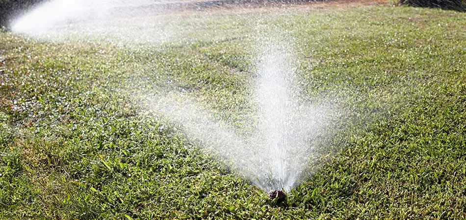 Sprinklers watering a lawn in Palm Beach, FL.