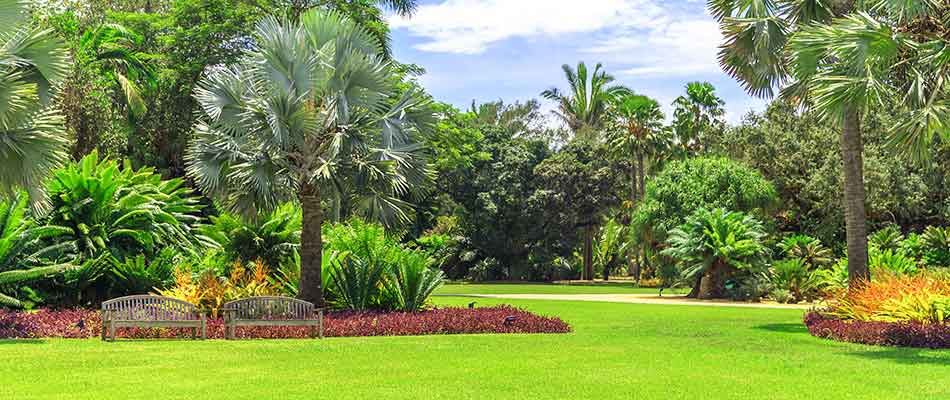 This business in Manalapan, FL benefits from regular lawn maintenance services.