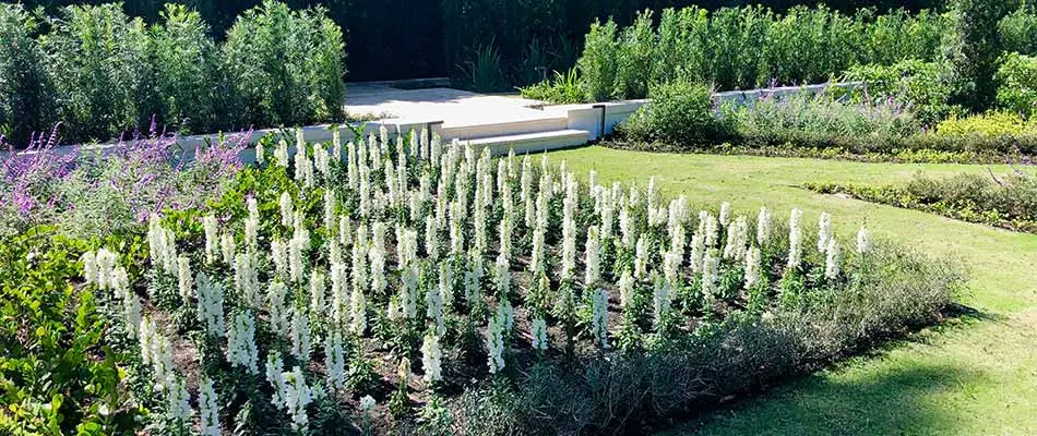 We installed this custom landscaping at a West Palm Beach home. 