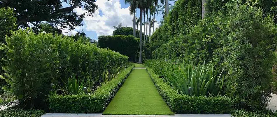 Our landscape trimming and pruning services for a property in Jupiter, FL.