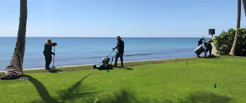 Our crew is verticutting a lawn in Manalapan, FL.