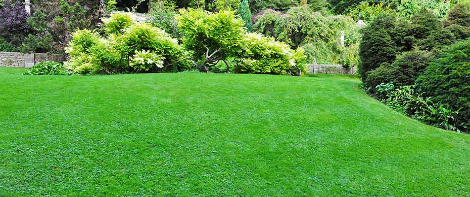 This property in Jupiter, FL uses our lawn mowing company.