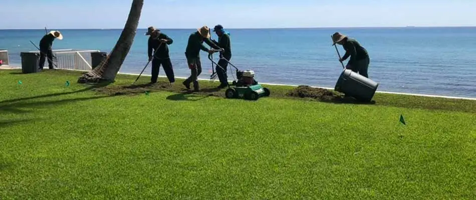 This lawn in Jupiter, FL is being verticut to remove thatch buildup.