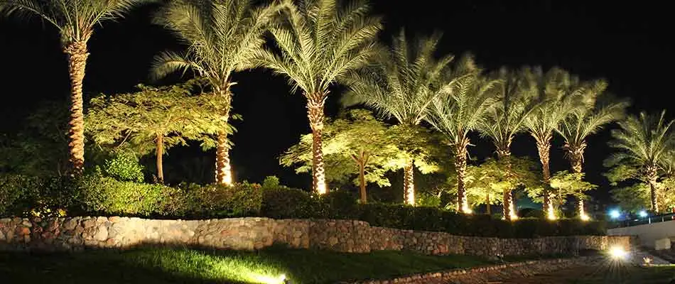 Outdoor lighting systems such as this one in Manalapan, FL highlight your property.