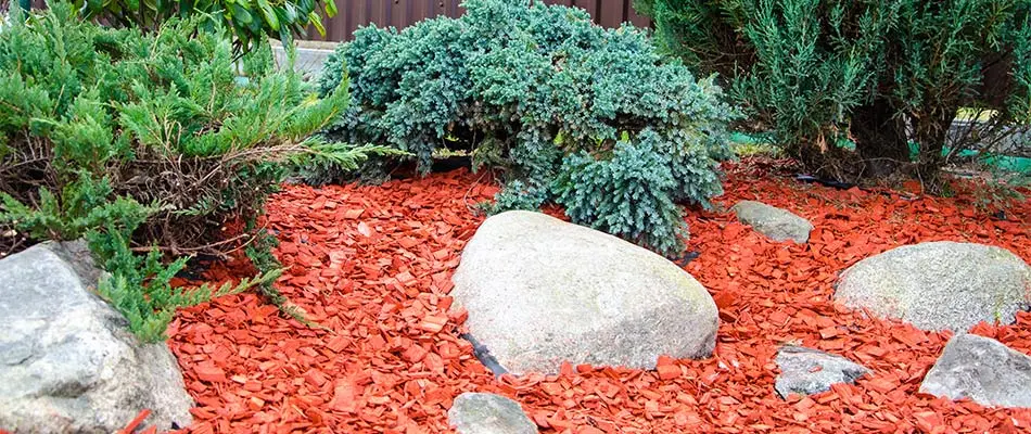 Our mulch installation service for a property in Jupiter, FL.