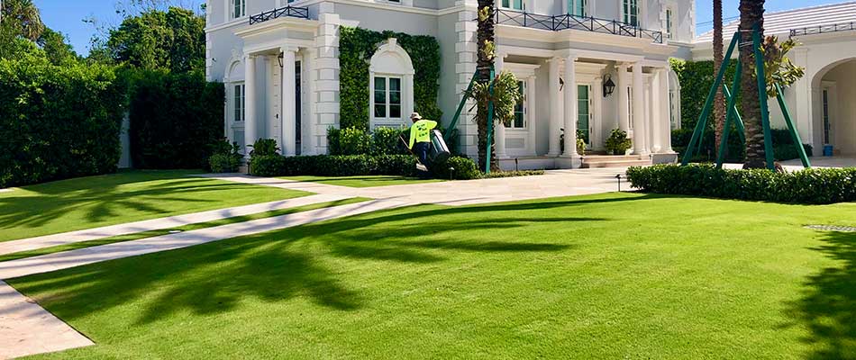 This lawn in Manalapan, FL is healthy thanks to fertilization treatments.