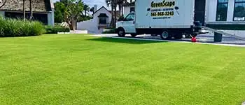 Well fertilized home lawn in Palm Beach, FL.