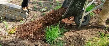 Mulch ground cover being applied at a home in Palm Beach, FL.