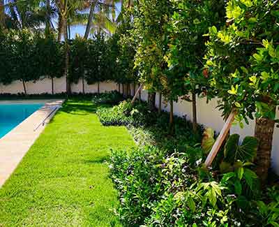 Fertilization and weed control help this lawn in Jupiter, FL stay healthy.