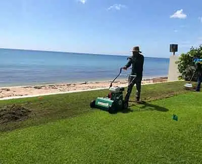 Verticutting a lawn in Palm Beach, FL.