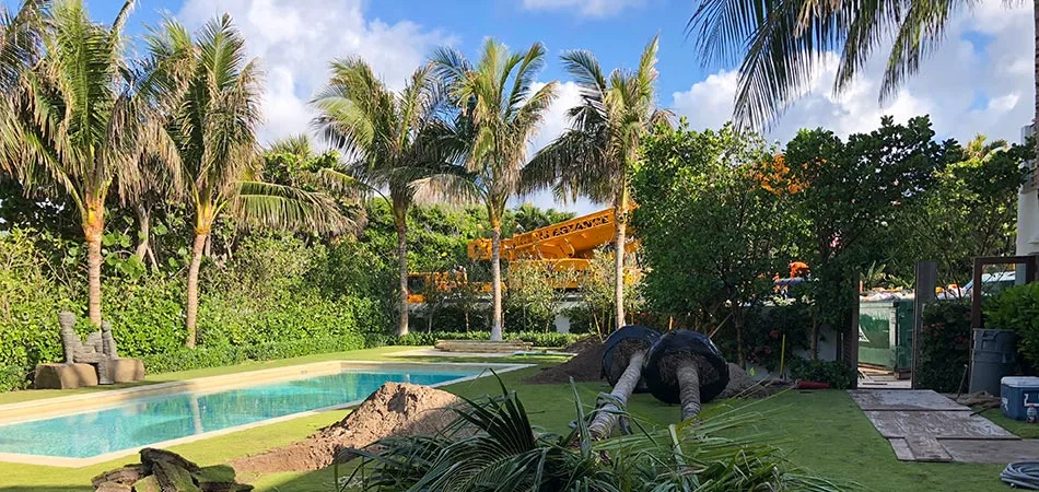 Proper removal of palm trees at an oceanfront home in Palm Beach, FL.