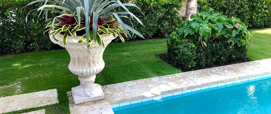 Diamond zoysia grass is a great choice for this high-end property in Palm Beach Island.