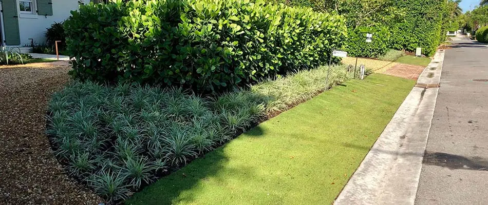 The front of this Palm Beach Island home has many native plants in its landscaping.