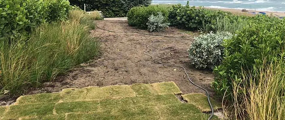 Landscaping & Sod Installation at Beachfront Property