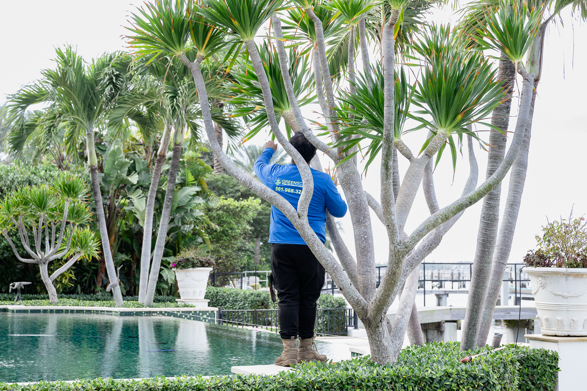 estate home landscaping