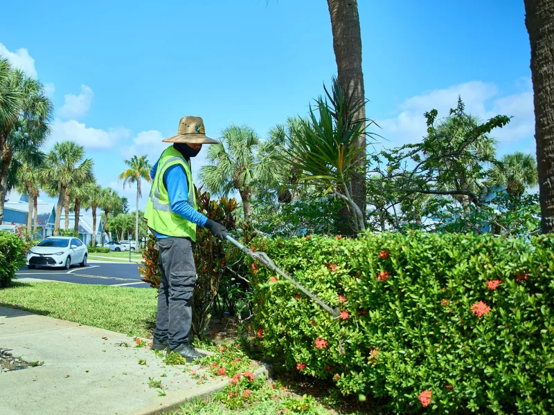 landscape services