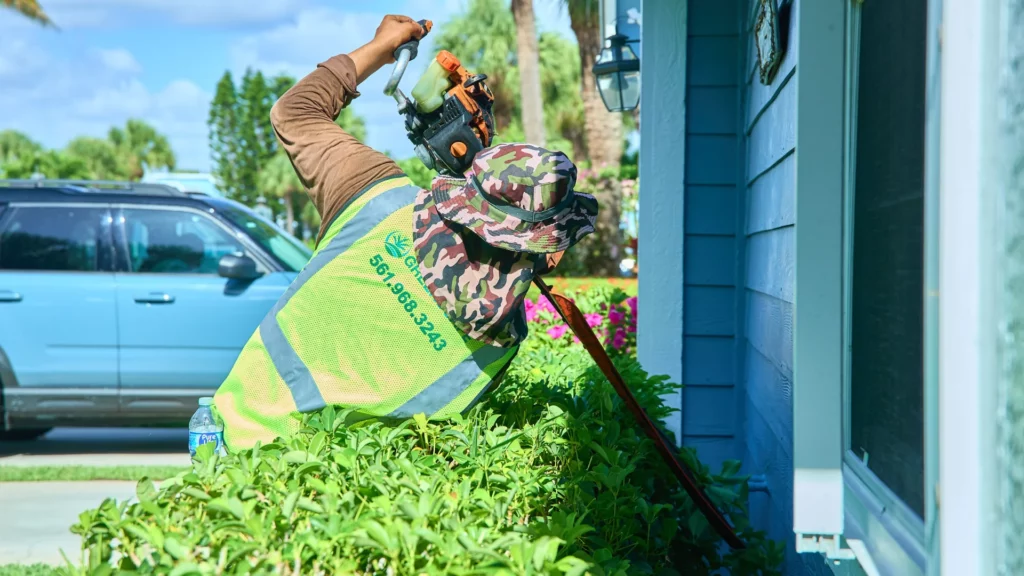 landscape services
