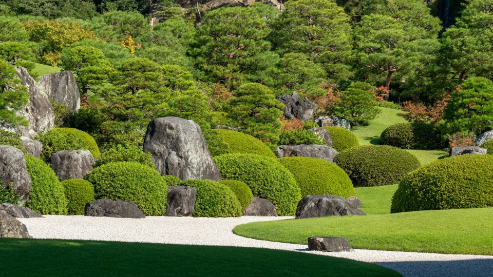 landscape designer